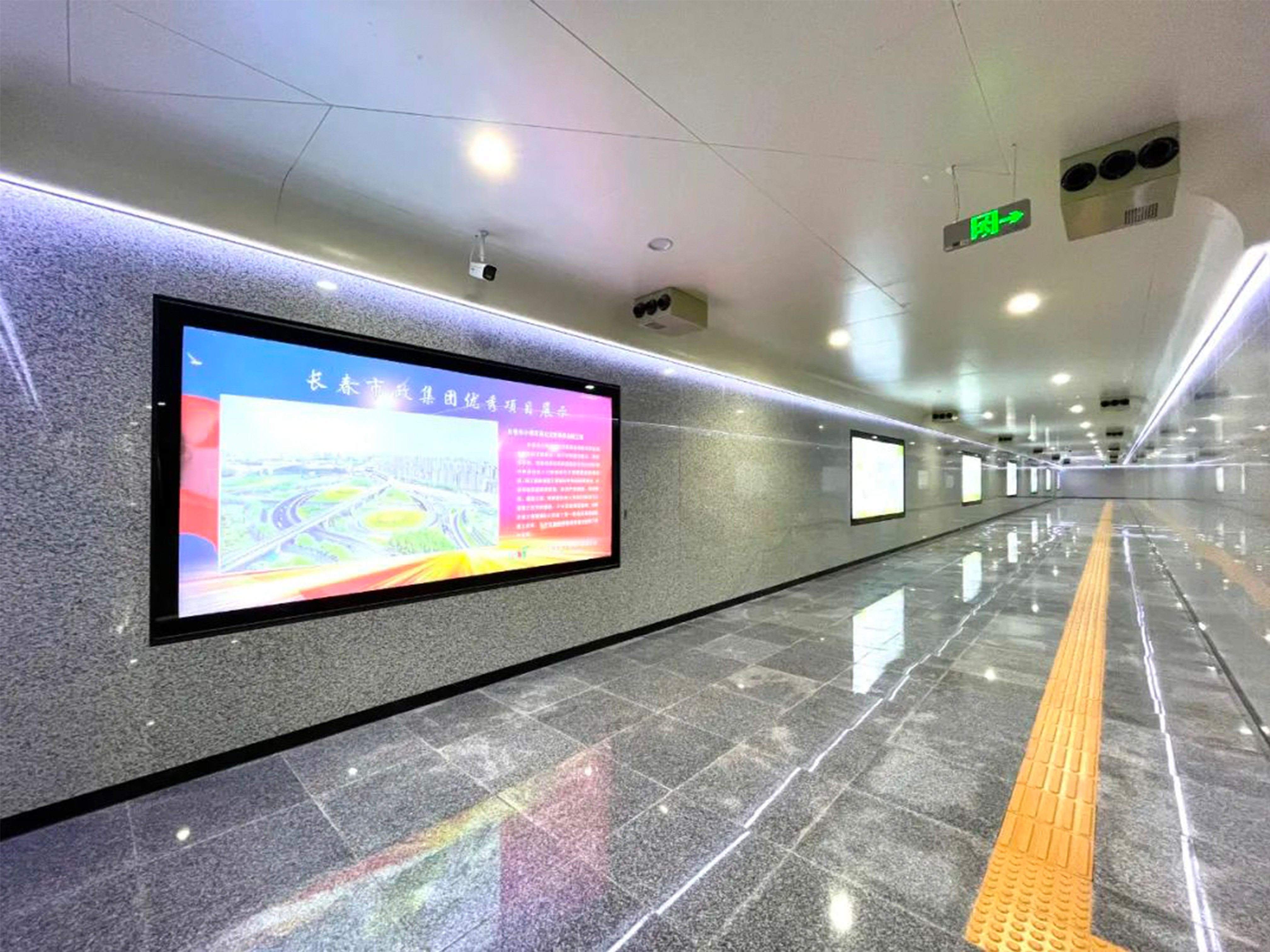 3817fe02de8ab520e9e5173375f845a (1) (1).jpg